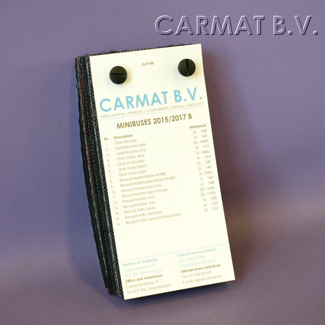 Samples Minibuses 2015/2017 B